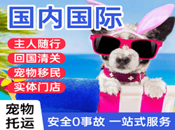 首都机场快运国际宠物托运 【国